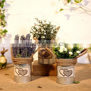 Cheap Price Colorful Mini Metal Office Desk Flower Pots thumbnail-1