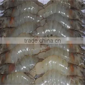 Frozen Vannamei Shrimp thumbnail-1