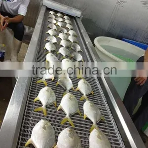 Frozen Food of Good Gold Pomfret thumbnail-1