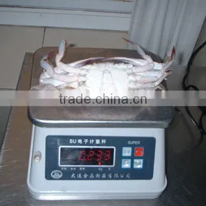 Frozen Whole Crab Price thumbnail-1