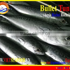 W/R FROZEN BULLET TUNA thumbnail-1
