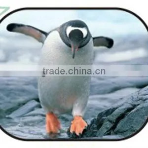 For Baby Sun Protection Side Window Car Cartoon Sun Shade thumbnail-1