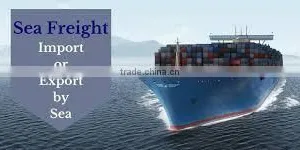Quick Cheap China Sea Freight / Ocean Freight / Sea Shipping to USA thumbnail-1