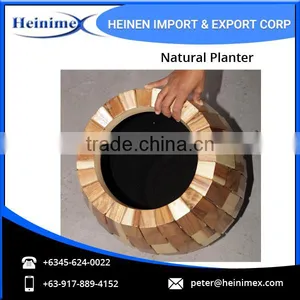 Widely Selling, Fiberglass Made Flower Planters for Home Decore thumbnail-4