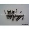 Screw thumbnail-1