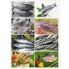 Frozen Seafood of Pacific Mackerel Fish thumbnail-3