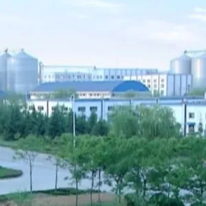 Golden Grain Group Limited company overview - view 1 thumbnail