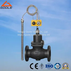 Self Operated Temperature Regulating Valve (GAZZWP) thumbnail-1