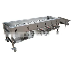 Commercial Apple Fruit Grader Apple Sorting Machine thumbnail-4