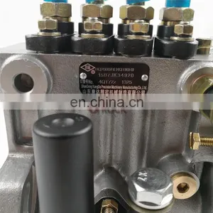Genuine Kangda Diesel Fuel Injection Pump 4QT72 BQ2000 BH4QT80R9 thumbnail-7