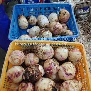 Frozen Taro,Frozen Fried Taro,HACCP,ISO22000,BRC,HALAL,KOSHER thumbnail-5