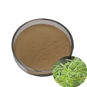 Wholesales High Quality Organic 100% Pure Salix Alba Bark Extract Salicin thumbnail-1