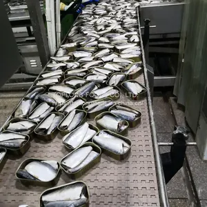 Canned Sardines thumbnail-2