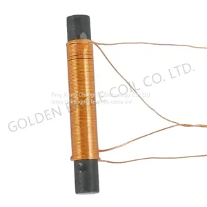 R-Rod Inductance Coil Ferrite Core Coil Inductor for Car Security Alarm System thumbnail-1