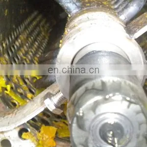 Shanghai Genyond Mango Processing Machine for Dry Chips thumbnail-2