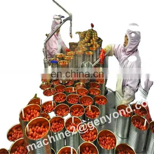 Factory Genyond Fruit Pineapple Tomato Peach Canning Sealing Machine Canned Fruits Processing Plant Production Line Price thumbnail-1