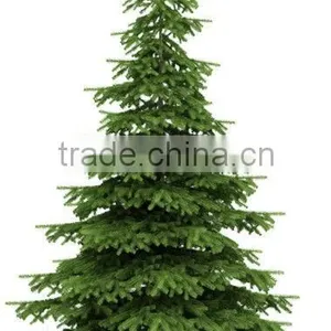 Best Seller Christmas Tree thumbnail-1