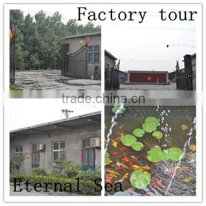 Vietnam Hot Sales Silicon Carbide 65 Anyang Manufacturer Eternal Sea thumbnail-5