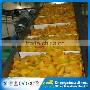 Stainless Steel Fruit Belt Conveyor Price thumbnail-4