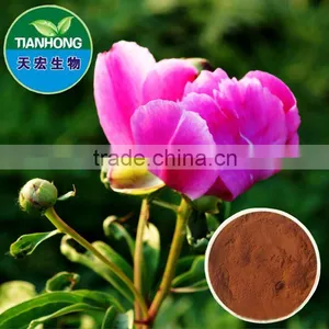 Radix Paeoniae Rubra Extract Paeoniflorin thumbnail-1