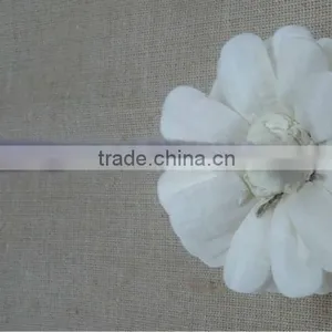 Sola Flower thumbnail-2