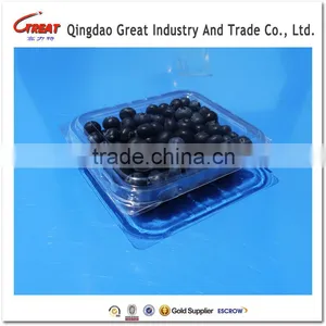 New Design 170g Fresh Blueberry Plastic Container thumbnail-1