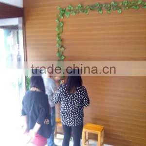 Eco Wood Plastic PE Interior Wall Paneling thumbnail-1