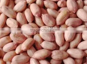 Peanut Price thumbnail-1