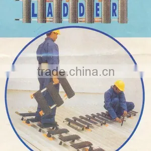ROOF TOP LADDER (Industrial Ladder, Safety Ladder) (SSS-0832) thumbnail-1