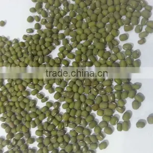 Mung Beans thumbnail-1