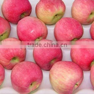 2012 New no Pesitiside Bulk Qinguan Apple thumbnail-1