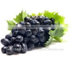 Black Grapes ,White Grapes,Seedless Grapes Exporter thumbnail-3