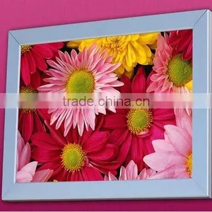 Maxi Uniloader Frame thumbnail-1