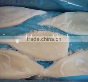Whole Frozen Squid Tube U5,U7,U10-U20 thumbnail-6