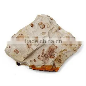 Fossil Specimens, Karataroblatta Formosa thumbnail-1