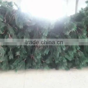 30M All Kinds of Palm Trees Tower thumbnail-1