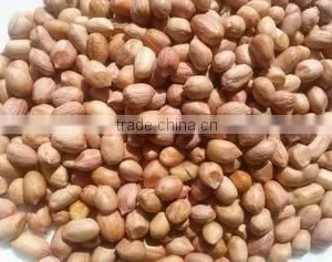Qingdao Mingzhide International Trade Co., Ltd. company overview - view 3 thumbnail