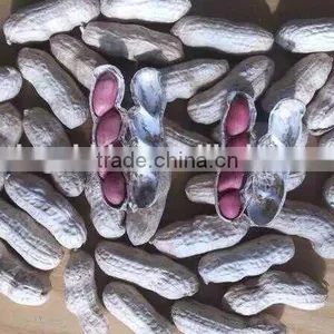 2015 Crop Chinese Red Skin Peanuts 50/60 40/50 , Good Quality With no Aflatoxin thumbnail-1