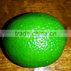 FRESH LEMON & FRESH LIME BEST Price thumbnail-3