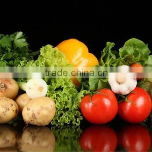 China Fresh Vegetables Fresh Ginger and Garlic and Onion and Potatoes Exporter in China thumbnail-1
