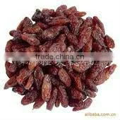 Raisin thumbnail-1