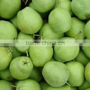 Fresh Early su Pear Juicy su Pear With Best Price for Export thumbnail-1