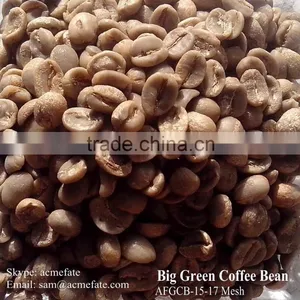 Raw Green Coffee Beans thumbnail-2