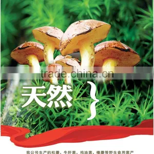 Suillus Granulatus Mushrooms in Brine thumbnail-2