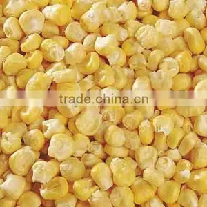 FD Freeze Dried Dehydrated Sweet Corn thumbnail-1