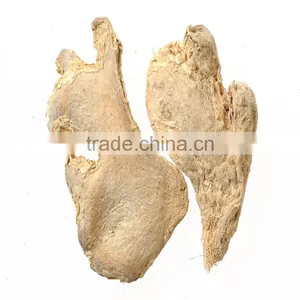 GMP Wholesale Gan Jiang Extract Powder thumbnail-1