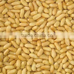Fried Peanuts thumbnail-1