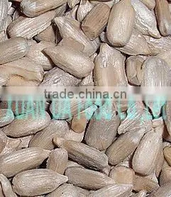 Sunflower Seed Kernels for Bakery and Confectionary Grade thumbnail-1