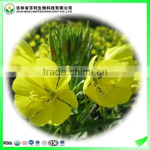 Factory Direct Sale Organic Evening Primrose Oil(EPO) Virgin thumbnail-2