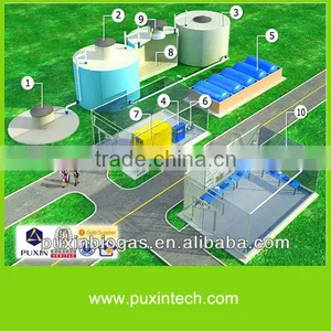 Medium Size Anaerobic Digestion System Uesd for Human and Animal Feces Biogas Plant thumbnail-1